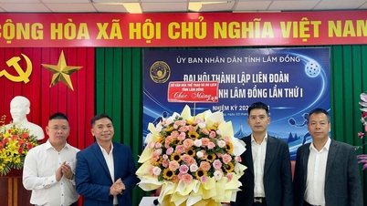 Lam Dong tartomány megalapítja a Tartományi Pickleball Szövetséget a 2026-2031-es időszakra.