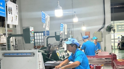 Přechod od managementu k tvorbě a službě.