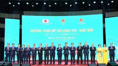 Hung Yen - Japon : Renforcer les liens, promouvoir la coopération en matière d'investissement et de commerce, et développer les relations.