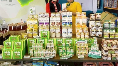 Förderung der Übernahme nationaler Standards in Lao Cai.