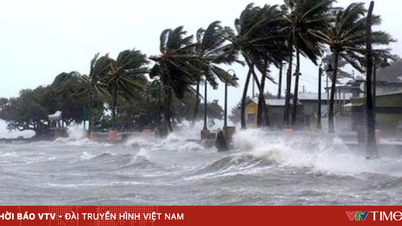 Từ Quảng Ninh đến Khánh Hòa chủ động ứng phó áp thấp nhiệt đới