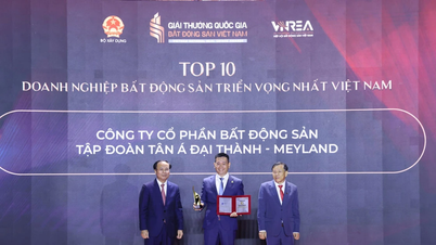 MEYGROUP, 2026 yılında Vietnam'ın en umut vadeden 10 gayrimenkul şirketinden biri olarak onurlandırıldı.