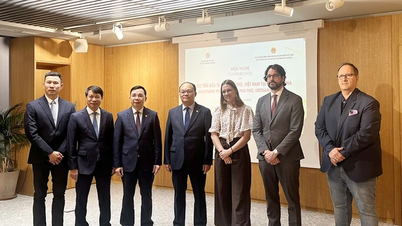 Tỉnh Phú Thọ tổ chức hội nghị xúc tiến đầu tư tại Madrid, mở rộng cơ hội hợp tác với doanh nghiệp Tây Ban Nha