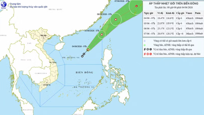 Hai Phong och 13 kustorter reagerar proaktivt på tropisk lågtryck.