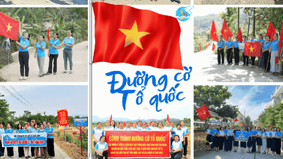 Phụ nữ Đà Nẵng vun đắp đường hoa, rực cờ, kiến tạo tương lai xanh