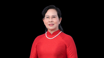 ຍິນດີຕ້ອນຮັບສູ່ກອງປະຊຸມໃຫຍ່ແມ່ຍິງຫວຽດນາມຄັ້ງທີ 14, ອາຍຸການ 2026-2031: ການກະກຽມຢ່າງລະອຽດ, ກຽມພ້ອມສຳລັບເຫດການໃຫຍ່.