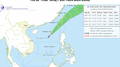 時速約25キロで移動しているこの熱帯低気圧は、台風に発達する可能性はあるのだろうか？