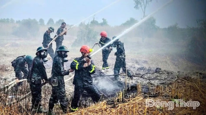 Wilayah Dong Thap sedang memperkukuh langkah-langkah untuk mencegah dan memerangi kebakaran hutan semasa musim kemarau di 23 komun yang mempunyai hutan.