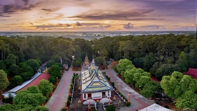 ទិដ្ឋភាពគួរឱ្យភ្ញាក់ផ្អើល៖ សត្វស្លាបរាប់ម៉ឺនក្បាលជ្រកកោននៅប្រាសាទបុរាណមួយក្នុងតំបន់ដីសណ្តរមេគង្គ។