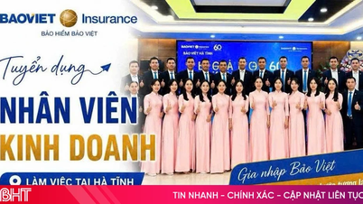 Bao Viet Insurance rekrutterer selgere.