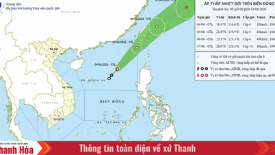Provinsi Thanh Hoa secara proaktif menanggapi depresi tropis di Laut Cina Selatan.