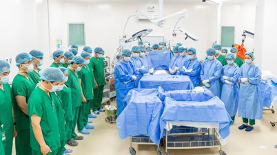 Penuaian dan pemindahan organ daripada penderma yang mati otak sepanjang malam.