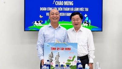 Tay Ninh støtter Vinamilk i å utvide gården sin og fremskynde byggingen av melkefabrikken.