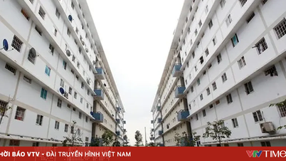 دا نانگ نے سوشل ہاؤسنگ کے لیے کرائے کی قیمت کے فریم ورک کا اعلان کیا۔