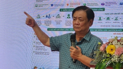 Vinh Long åpner for vekstpotensial gjennom landbruksøkonomi.