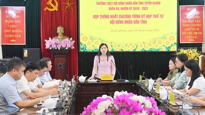 Họp thống nhất chương trình Kỳ họp thứ tư HĐND tỉnh