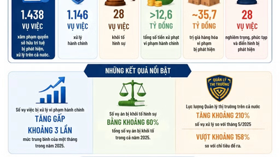 [Infographic] Xử lý hơn 1.400 vụ xâm phạm quyền sở hữu trí tuệ sau 3 tuần thực hiện Công điện 38
