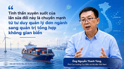 Amend the Law on Marine and Island Natural Resources and Environment: Instead of strict control, open the way to the open sea.