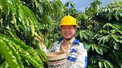 Coffee prices today, June 4, 2026: Fluctuating around 87,000 VND.