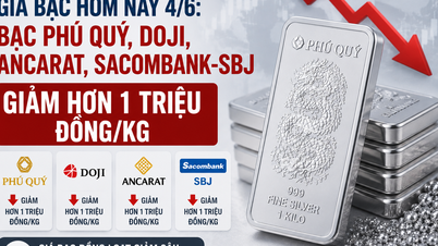 چاندی کی قیمتیں آج، 4 جون: Phu Quy، Doji، Ancarat، اور Sacombank-SBJ چاندی کی قیمتوں میں 1 ملین VND/kg سے زیادہ کمی واقع ہوئی۔