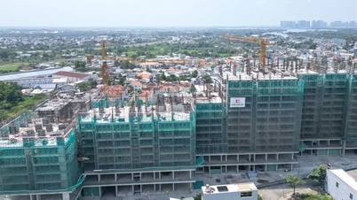 Miasto Dong Nai otwiera „zielony kanał” i skraca procedury o 50% dla projektów budownictwa socjalnego.