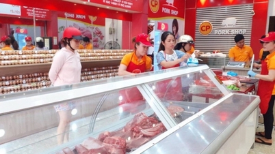 Varkensvleesprijzen vandaag, 4 juni: Noord-Vietnam kent de hoogste prijzen van het hele land, terwijl de centrale regio en de centrale hooglanden een lichte daling laten zien.