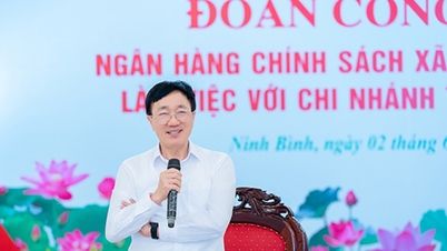 Banco Provincial de Política Social de Ninh Binh: Aspira a alcanzar un capital total de 22.550 millones de VND para 2030.