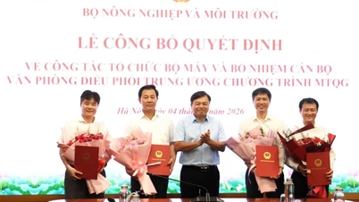 ពង្រឹងការិយាល័យសម្របសម្រួលកម្មវិធីគោលដៅជាតិ