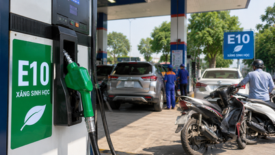 Xe đời sâu thích ứng ra sao khi xăng E10 phủ sóng toàn quốc?