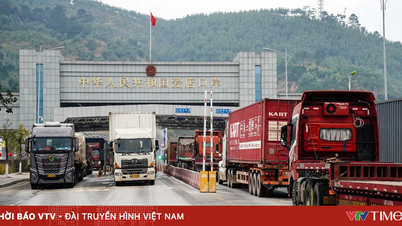 Gümrük idaresi altı idari prosedürü daha azalttı.