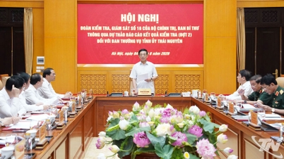 Merkezi Denetim ve Gözetim Ekibi, Thai Nguyen İl Parti Komitesi Daimi Komitesi hakkındaki denetim raporu taslağını onayladı.