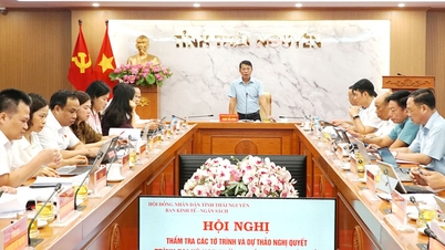 A Thai Nguyen Tartományi Népi Tanács Gazdasági és Költségvetési Bizottsága áttekintette a határozattervezeteket.