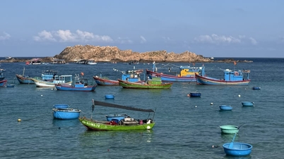 完善 fisheries development policies towards modernization and sustainability.