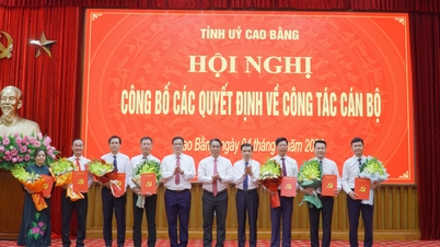 Jawatankuasa Parti Wilayah mengumumkan keputusan mengenai hal ehwal kakitangan - Akhbar Dalam Talian Cao Bang