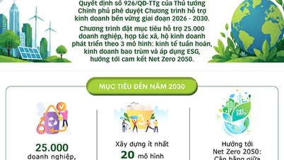 [INFOGRAPHICS] Chương trình hỗ trợ kinh doanh bền vững (2026 – 2030)