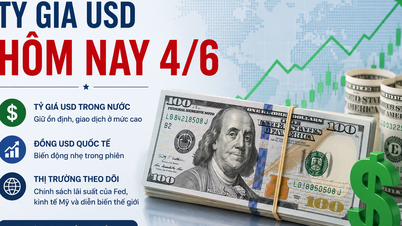 Kadar pertukaran USD hari ini, 4 Jun: Dolar AS pulih dalam pasaran bebas.