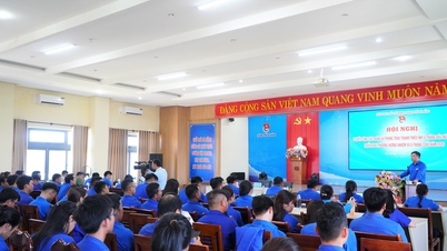 Over 357 000 unge mennesker i Da Nang bruker offentlige tjenester på nett.