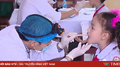 100% of students receive regular health check-ups.