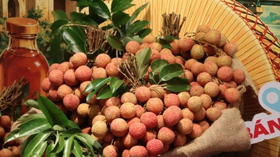 Öppning av "Kinh Bac Market Fair", som erbjuder Bac Ninh-specialiteter till konsumenter i huvudstaden.