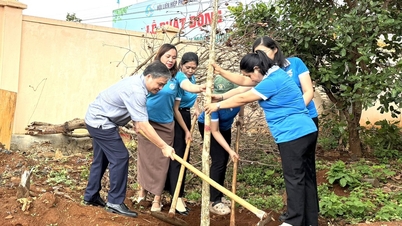 Persatuan Wanita Provinsi Gia Lai meluncurkan kampanye penanaman pohon sebagai tanggapan terhadap Hari Lingkungan Hidup Sedunia.