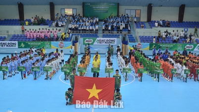 Turno di qualificazione del campionato nazionale di calcio Under 11 del 2026: i padroni di casa del Dak Lak conquistano una grande vittoria nella giornata inaugurale.