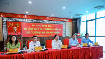 Comitetul permanent al Comitetului provincial de partid a colaborat cu comitetele permanente ale comitetelor de partid a 8 comune din zona Van Ban.