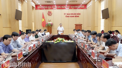 Rà soát các nhiệm vụ chuyển đổi số tại Kế hoạch số 92 của UBND tỉnh