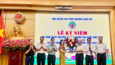 Os idosos do bairro de Ngoc Ha estão desempenhando o papel de "Idosos - Exemplos Brilhantes".