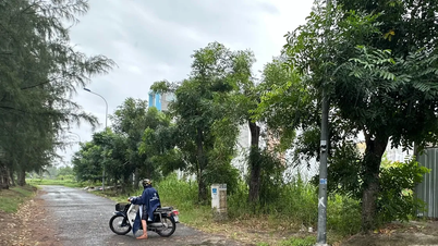 ນະຄອນໂຮ່ຈິມິນສືບຕໍ່ພິຈາລະນາການອອກໃບຢັ້ງຢືນການນຳໃຊ້ທີ່ດິນສຳລັບໂຄງການທີ່ຢູ່ອາໄສເພື່ອການຄ້າ 7 ໂຄງການ.