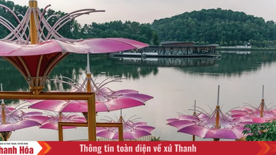 লামোরি – যেখানে অভিজ্ঞতার প্রতিটি যাত্রা সংযুক্ত হয়