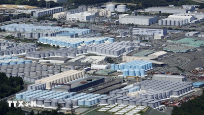 Isyarat positif mengenai tahap radiasi udara di Wilayah Fukushima.