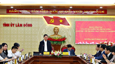 ຄະນະກຳມະການກວດກາສູນກາງເຮັດວຽກຮ່ວມກັບແຂວງເລີມດົ່ງກ່ຽວກັບໂຄງການທີ່ບໍ່ແມ່ນງົບປະມານ.