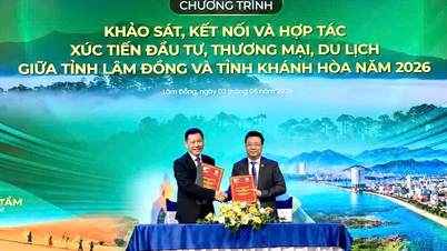 Renforcement de la coopération en matière d'investissement, de commerce et de tourisme entre les provinces de Khanh Hoa et de Lam Dong.