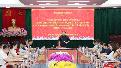Stálý výbor provinčního stranického výboru uspořádal pracovní zasedání s Vietnamskou kooperativní aliancí.